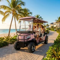 Voiturette de golf rose personnalisée pour 6 passagers, avec freinage hydraulique double, idéale pour le transport en zone touristique
