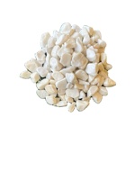 Vente directe usine – Galets décoratifs blancs en dolomite pour jardins, cours arrière, parcs – Galets écologiques et adaptés aux poissons
