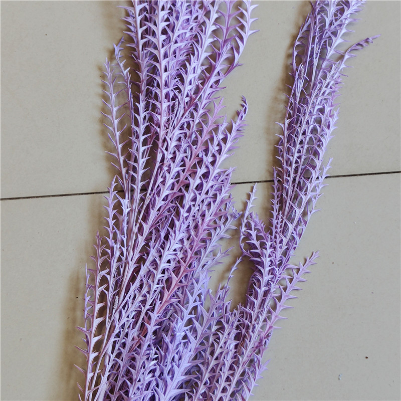 Rosa púrpura blanqueado