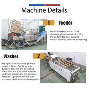 Machine de lavage et de séchage de tomates équipée d'un chariot élévateur avec bac basculant, ligne de nettoyage de tomates pour l'emballage direct - Product Image 2