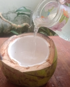 Agua de Coco Fresca de Primera Calidad al Mejor Precio, Pulpa Dulce Natural Pura, para Té de Burbujas y Postres, Grado Sulawesi, 0.2kg - Product Image 2