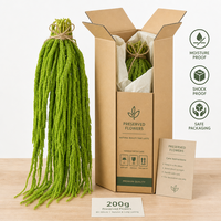 Bunga Amaranthus Kering Gantung yang Diawetkan dengan Gliserin, Batang Dekoratif untuk Pernikahan, Wisuda, Hari Valentine