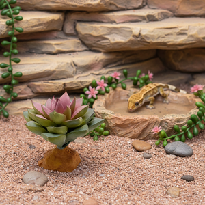 Plante artificielle de lotus en <span class=keywords><strong>pierre</strong></span> rouge <span class=keywords><strong>pour</strong></span> la décoration d'aquariums et de terrariums avec base - Product Image 6