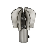 Petite râpe à viande de noix de coco Machine 220V Machine de meulage de rasage de noix de coco 150W Utilisation commerciale ou domestique Opération facile