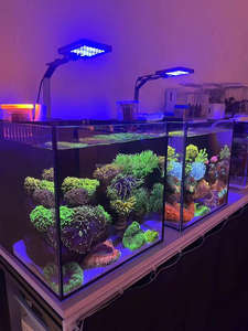 M30 A.S. En gros Tout-en-1 Nano Réservoir Ensemble 30CM Ultra Clair Verre Moderne <span class=keywords><strong>Fish</strong></span> <span class=keywords><strong>Tank</strong></span> Aquarium EXW - Product Image 6