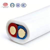Câble plat en cuivre massif isolé et gainé PVC BVVB 10 AWG IP68 300V/500V, support OEM, directement de l'usine SZYL