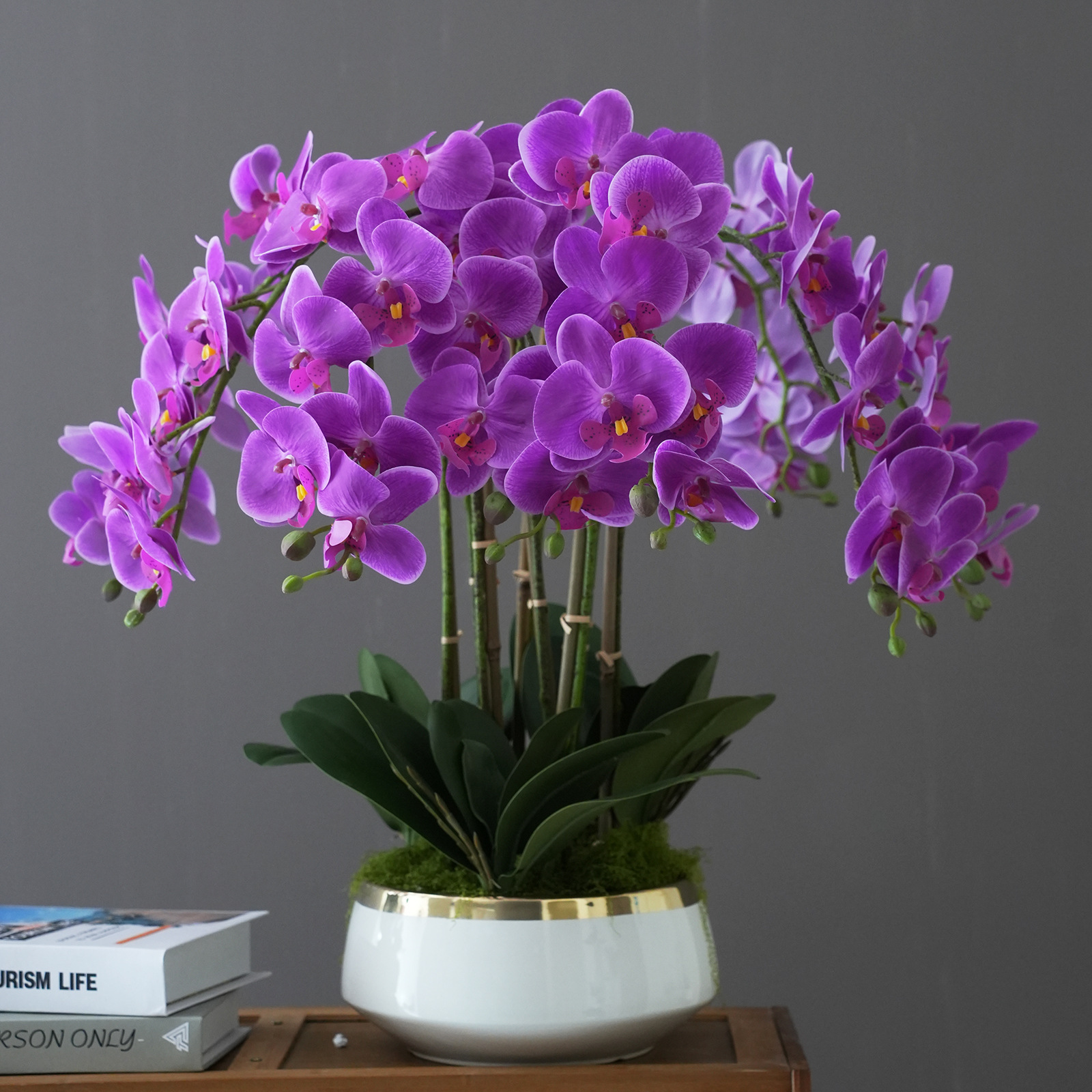 Plante en pot phalaenopsis violet haut de gamme