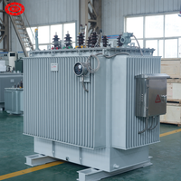 Transformateur de puissance triphasé immergé dans l'huile pour extérieur, 300 KVA, 450 KVA, 1000 KVA, élévateur de tension 11 kV, 415 V, 480 V, ISO9001, pour usage industriel