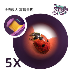 Cubo de observación Elton Science Can para niños, juguete de exploración de la naturaleza, regalo educativo de plástico para niños de 5 a 7 años - Product Image 5