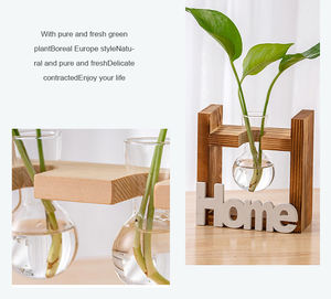 Jarrones de Vidrio Creativos con Marco de Madera al por Mayor, Jarrones Modernos y Sencillos para Decoración de Sala de Estar, Jarrón para Plantas Verdes - Product Image 6