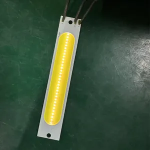 Hoog Vermogen 20W 30W Rood Wit Cob Led Chip Voor Buitenlicht