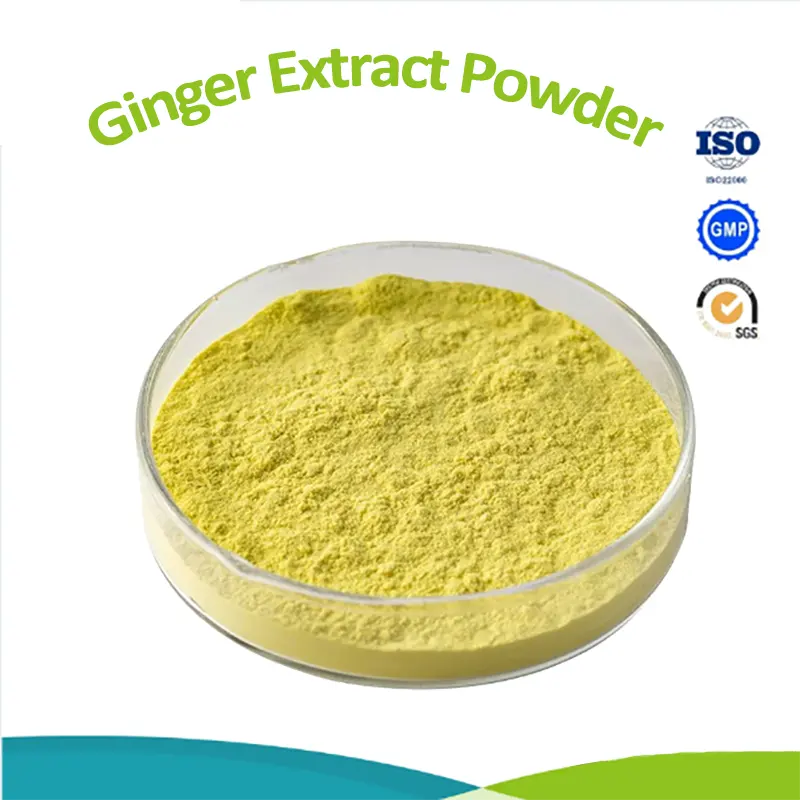 Food Supplement Ginger Extract Powder Gingerol Powder Cas 84696-15-1