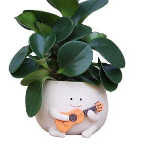 Smily Face Résine Jardinières Mignon Guitare Pots Succulents avec Trou De Drainage Intérieur/<span class=keywords><strong>Extérieur</strong></span> <span class=keywords><strong>Jardin</strong></span> Plantes <span class=keywords><strong>Idée</strong></span> <span class=keywords><strong>Cadeau</strong></span> - Product Image 1