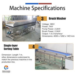 Ligne de lavage automatique de fruits 2000-3000KG/H, machine à laver les fruits de la passion et les ananas pour usage commercial - Product Image 3