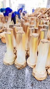 Tiras de Corazón de Coco Joven Secas y Envasadas al Vacío de Alta Calidad |   Exportador Mayorista de Vietnam |   Coco Rallado Vegano Saludable - Product Image 2