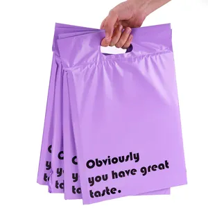 Emballages imprimés en couleur et logo personnalisé Enveloppes en poly Sacs d'expédition en poly avec poignée