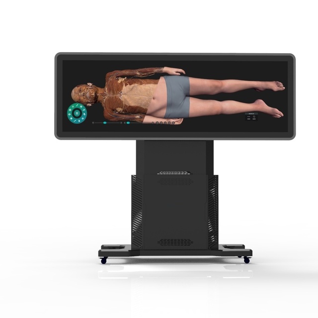 Professional Virtual Anatomy Dissection Table the Digital Human Anatomy System Based on the 3D