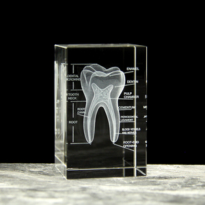 Rõ ràng pha lê Cube với răng nhân tạo mở rộng răng tự nhiên nha khoa mô hình dữ liệu Laser khắc cho sinh viên thực hành - Product Image 1