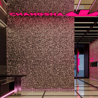 MCM Carreaux en alliage d'aluminium insonorisés et moussés au design moderne Carreaux pierre Lumi naturelle Rock Slap pour décoration d'hôtel