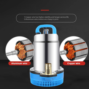 12V/24V <strong>Solar</strong> <strong>Submersible</strong> <strong>Pump</strong> With Aluminum Motor Low Pressure Large DC Head Flow Rate For Irrigation Agriculture Clean Water - Product Image 2