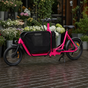 Vélo électrique pliable 48 V 250 W 20 pouces 7 vitesses en alliage d'aluminium avec batterie au lithium et moteur roue arrière pour la ville et le transport en gros - Product Image 3