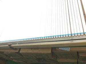 Tube <span class=keywords><strong>LED</strong></span> EMC Standard <span class=keywords><strong>T5</strong></span> T6 avec connecteur G5, remplace le tube fluorescent <span class=keywords><strong>T5</strong></span>, 1200 mm - Product Image 5
