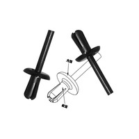 Rivets à pression en nylon, attaches en plastique pour l'installation automobile, rivets aveugles en plastique PC, attaches en nylon pour la fixation des panneaux de tableau de bord