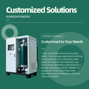 Энергосберегающий генератор водорода PEM высокой чистоты с двигателем/мотором для металлургии, редукции металлов и водородных топливных элементов - Product Image 3