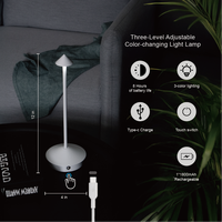 Lampe de nuit LED en forme de pyramide rechargeable Lampe de table portable 3 couleurs à gradation tactile pour chambre à coucher à cône en métal