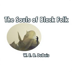 Simply Media Souls of Black Folk, Publicación Electrónica - Product Image 1