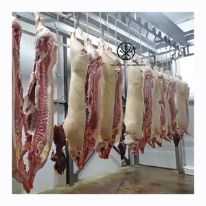 Hot Sale Complete Swine Abattoir Equipment Pig Slaughtering Stunning Design Use Automatic Processing Conveyor Rail