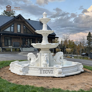 Fuente de agua para caballos al aire libre de mármol decorativo de <span class=keywords><strong>entrada</strong></span> delantera de casa europea de diseño Popular <span class=keywords><strong>TREVI</strong></span> - Product Image 4