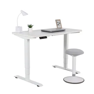 NATE Global Venda Quente Tamanho Personalizado Motor Duplo Ergonômico Sentar Stand Altura Ajustável Stand Up Mesa Elétrica