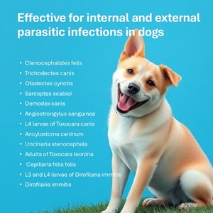 สำหรับสุนัข แมว <span class=keywords><strong>กระต่าย</strong></span> น้ำหนัก 10-25 กก. ยาหยดสำหรับตั้งท้องและให้นมบุตร ปลอดภัย กำจัดเหา ดูดซึมเร็ว น้ำมันปลา <span class=keywords><strong>วิตามิน</strong></span> บำรุงผิวหนังและขน - Product Image 3