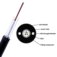 Câble à fibre optique non métallique diélectrique pour l'extérieur GYFXTY 1 2 4 6 8 Câble à fibre optique monomode à 12 conducteurs 10km 12 conducteurs