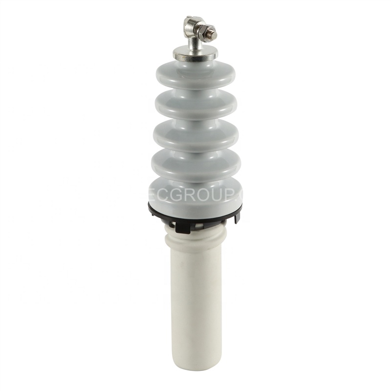 6本セット DT 10NF250 DIN 42531 Porcelain Transformer Bushing Insulator