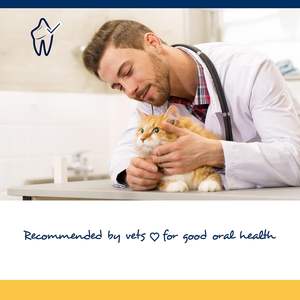 علاج صحة الأسنان للحيوانات الأليفة مع مسحوق الفوكويدان والبقدونس للحفاظ على تنظيف الفم في OEM/ODM من يمضغ القط اللين - Product Image 4
