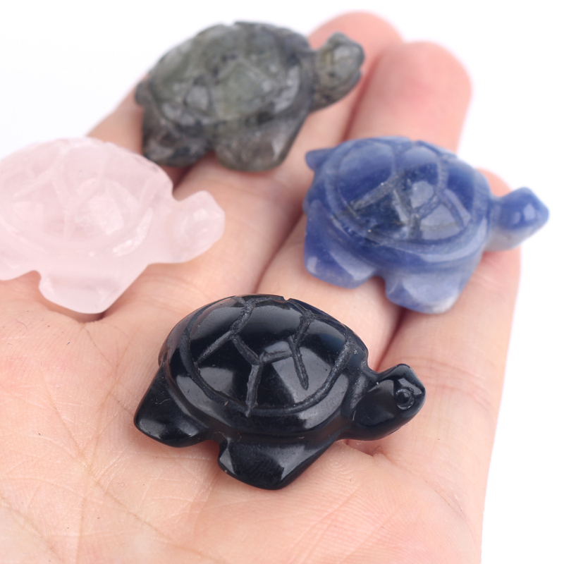tortue