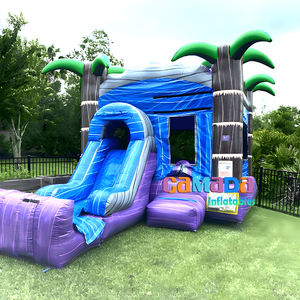 Palma coco al aire libre inflable piscina Castillo tobogán niños inflable paraíso fiesta soporte comercial personalización - Product Image 2