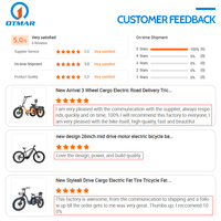Sıcak satış 26 inç büyük lastik çift motorlu elektrikli bisiklet çin OEM özelleştirilmiş gizli pil yetişkin güçlü dağ ebike
