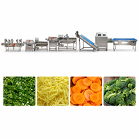 Volledig automatische industriële waslijn voor wortel- en bladgroenten/lijn voor de productie van diepvriesfruit en -groenten
