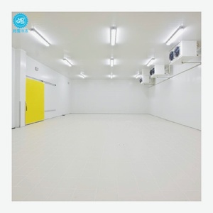 Cách nhiệt phòng lạnh lưu trữ phòng cho thịt với thiết kế hiện đại kho - Product Image 4