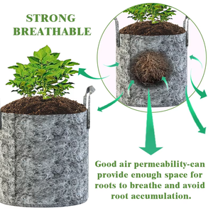 Faites pousser vos meilleures fraises : Sacs en tissu durables <span class=keywords><strong>de</strong></span> 5 gallons d'août - Résistants aux déchirures pour une <span class=keywords><strong>saison</strong></span> abondante - Product Image 3