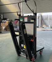 Chariot Élévateur Électrique Certifié CE pour Escaliers, Capacité de Charge 300 kg, Plateforme en Acier, Chariot à Palettes pour Monter les Escaliers