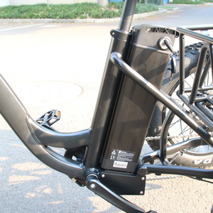 Ba Bánh Điện 48V 750W Động Cơ Phía Trước 3 Bánh Xe Gia Đình Hàng Hóa Xe Đạp Phía Sau Tải Mang Theo Hàng Hóa Điện Hàng Hóa Ebike Đĩa Phanh - Product Image 4