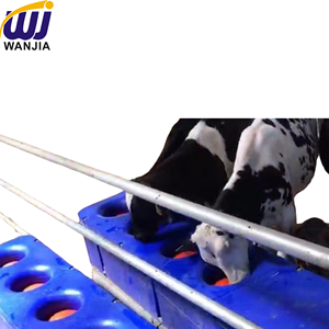 Wanjia chăn nuôi waterer ba lỗ tự động gia súc uống rượu cho trang trại động vật bò và cừu - Product Image 5