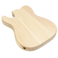 Wholesale Customizable Multi-Style and Multi-Design Electric Guitar Body Kit ST/TL DIY Electric Guitar Sets