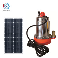 Pompe à Eau Solaire Électrique DC 12V 24V à Basse Pression Submersible pour Engrenage d'Irrigation Agricole et de Jardin OEM