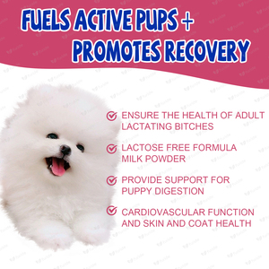 Supplément de vitamines en poudre de lait de chèvre enrichi en colostrum pour chiots et chatons Soins de santé et suppléments pour animaux de compagnie - Product Image 3