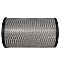 Filtre à air ORIGINAL P781182 P784021 RS30116 Utilisation pour filtre Donaldson 1535521 503136930 C3217521 C321752